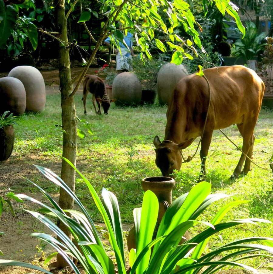 Clayfingers Art Cottage Thrissur Ngoại thất bức ảnh